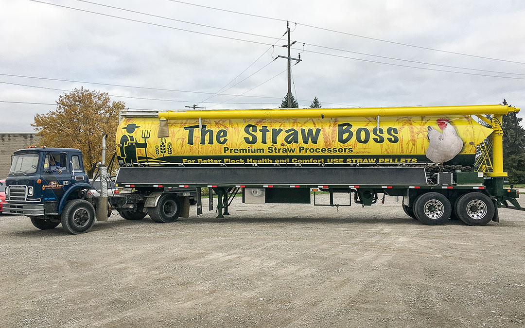 Vehicle Lettering